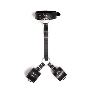 Collar And Wrist Restraint Harness