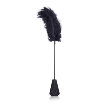 Feather Tickler & Lace Paddle